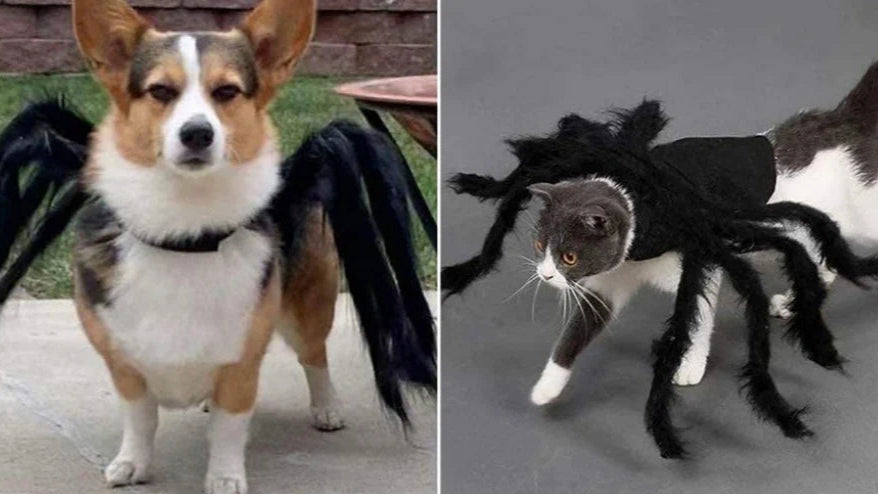 Halloween Spider Clothes for Pet Dog Cat Spider Costumes Dressing up Pet Clothes Pet Halloween Props Party Clothing Accessories