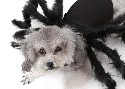 Halloween Spider Clothes for Pet Dog Cat Spider Costumes Dressing up Pet Clothes Pet Halloween Props Party Clothing Accessories